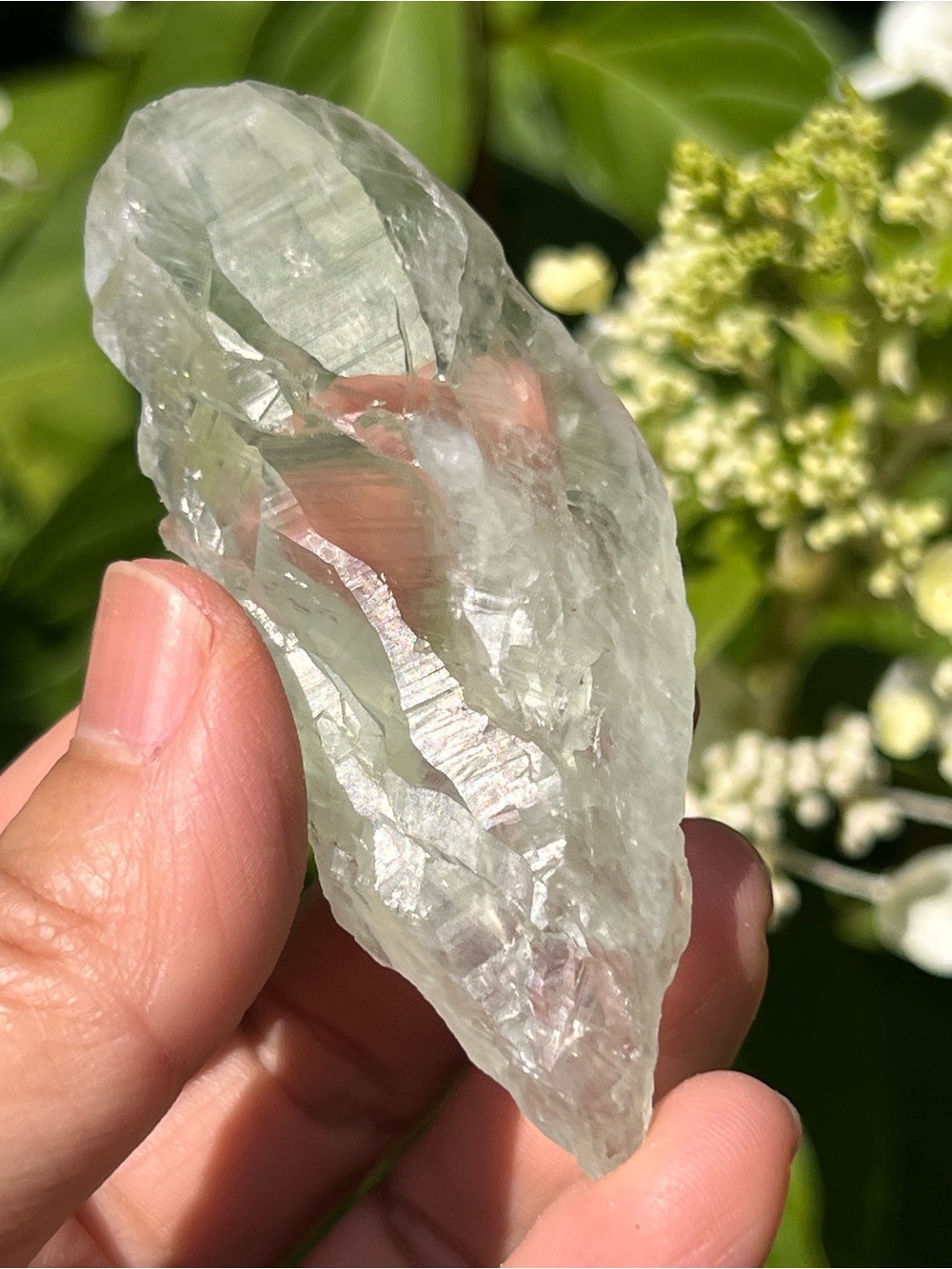 Green (2) quartz point | crystal